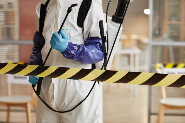 Professional Sewage Cleanup technician working in Hastings, MI